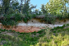 Geology at Red Hill